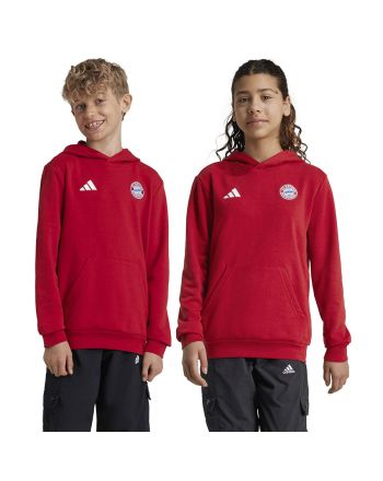 Bluza adidas FC Bayern HD Junior Jr IT4134