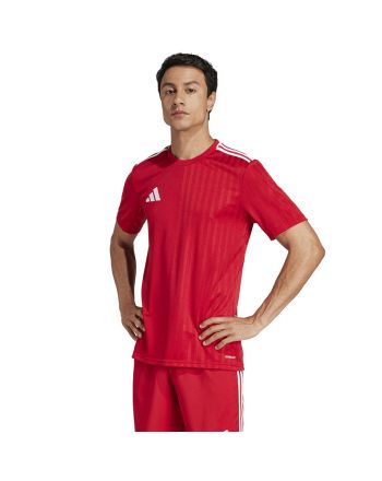 Koszulka adidas Campeon 25 JSY JF6058