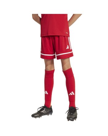 Spodenki adidas SQUADRA 25 JN5456