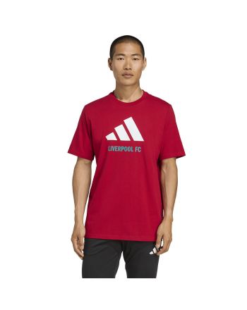 Koszulka adidas Liverpool FC Seasonal DNA Graphic Tee 2 JY3466