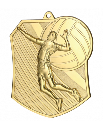 Medal złoty - siatkówka - medal stalowy