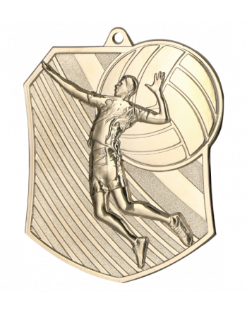 Medal srebrny - siatkówka - medal stalowy