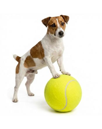 PIŁKA TENIS ZIEMNY XL 22CM