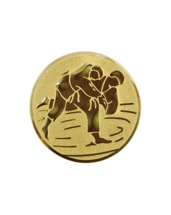Wklejka aluminiowa - judo
