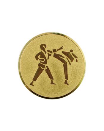 Wklejka aluminiowa - karate